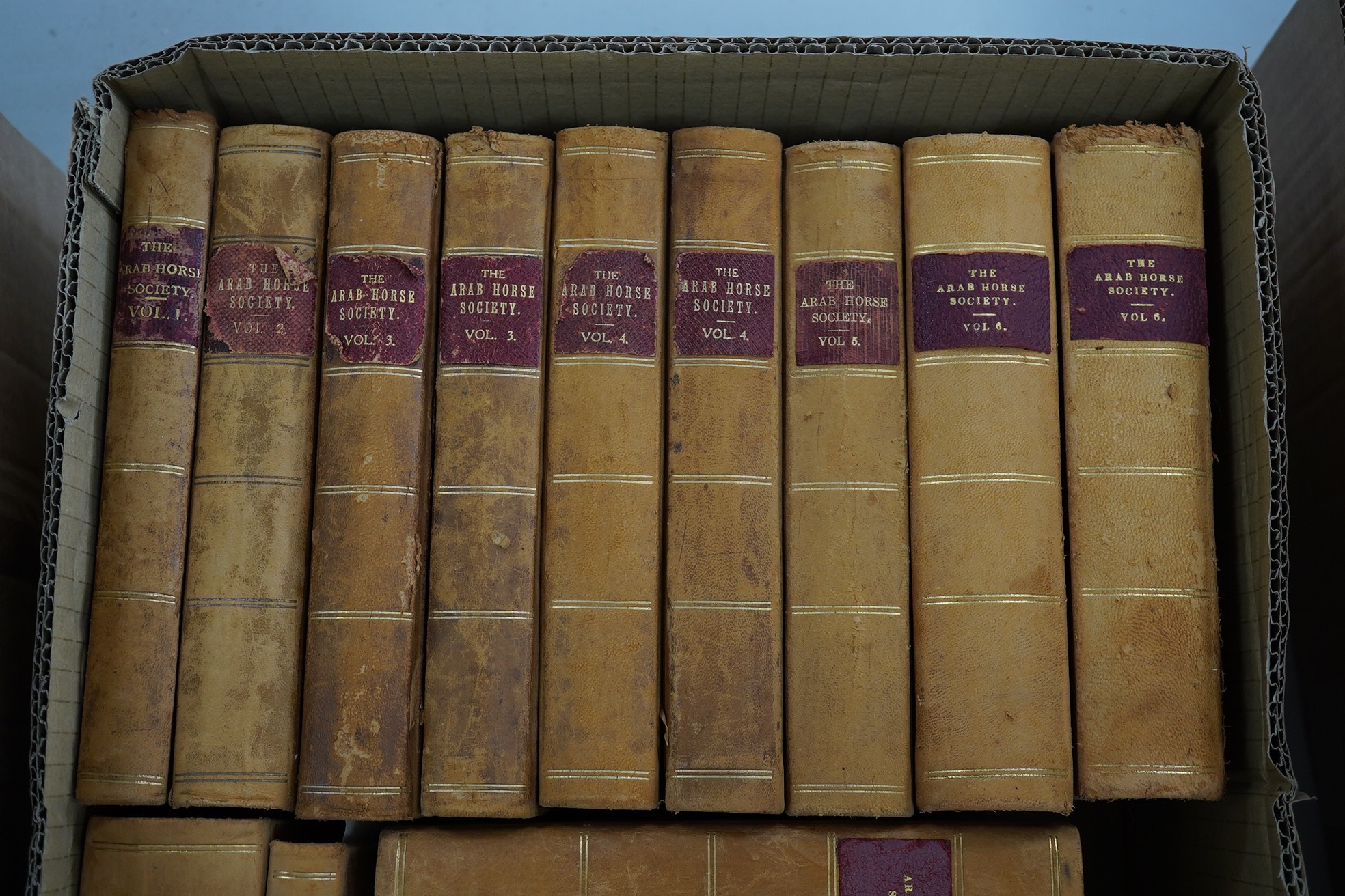 The Arab Horse Stud Book. first editions, vols. 1-14. photo. plates; original half calf marbled boards, gilt ruled spines with red labels, cr.8vo. Lewes, 1919-1982. *some earlier vols. with num. marginal ms. amendments (